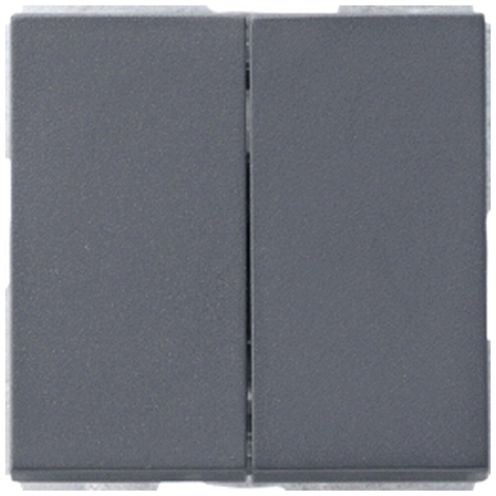 Gira Systeem 55 Installatieschakelaar detail-variant