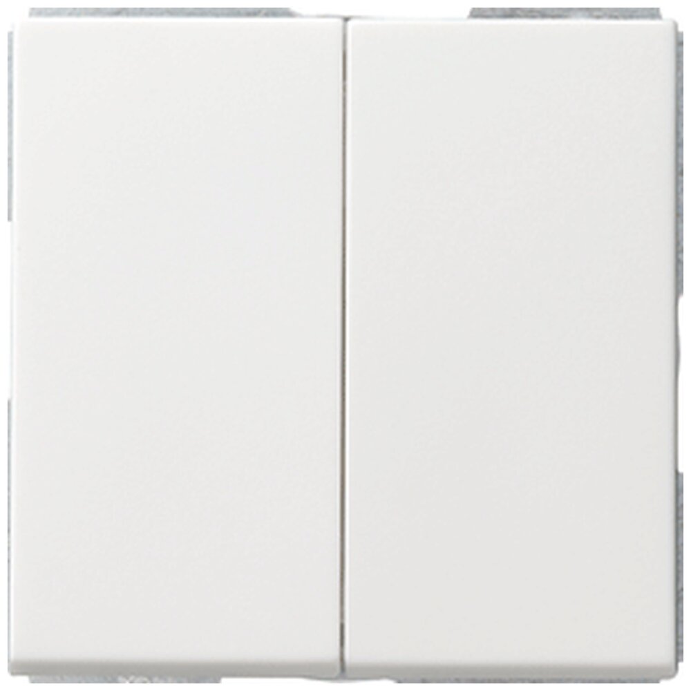 Gira Systeem 55 Installatieschakelaar detail-variant