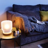 ZLED-2209 Dimbare E27 LED Lamp - Flame Wit