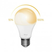ZLED-2209 Dimbare E27 LED Lamp - Flame Wit