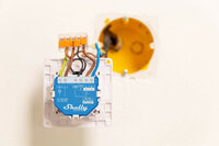 Shelly Qubino Wave 1 - module met potentiaalvrije uitgang