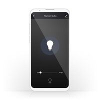 Wi-Fi Smart LED Lamp | warm-wit | E27 | 125 mm | 5 W | 500 lm