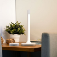 Home Assistant Connect ZWA-2 - ZWave controller voor Z-wave mesg en Z-wave long range