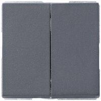 Gira Systeem 55 Installatieschakelaar detail-variant