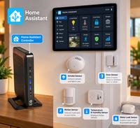 Home Assistant Controller
