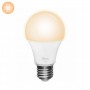 ZLED-2209 Dimbare E27 LED Lamp - Flame Wit